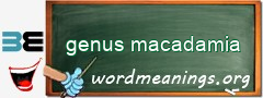 WordMeaning blackboard for genus macadamia